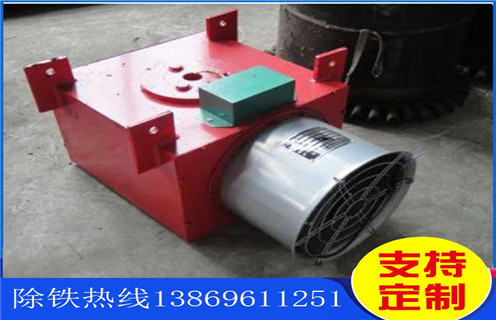 電磁除鐵器,風(fēng)冷式電磁除鐵器,濰坊風(fēng)冷式電磁除鐵器生產(chǎn)廠(chǎng)家 電磁除鐵器,風(fēng)冷式電磁除鐵器,濰坊風(fēng)冷式電磁除鐵器生產(chǎn)廠(chǎng)家
